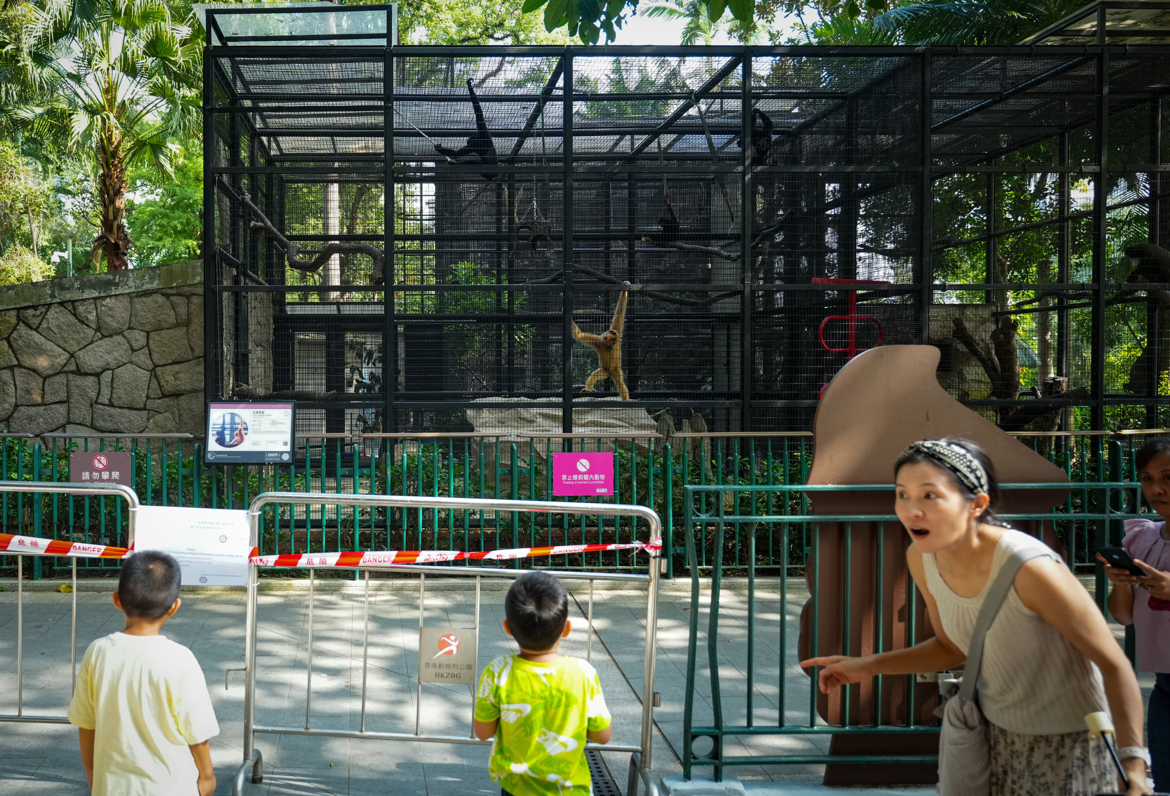 Nine monkeys were found dead at the Hong Kong Zoological and Botanical Gardens in Central. Photo: Sam Tsang