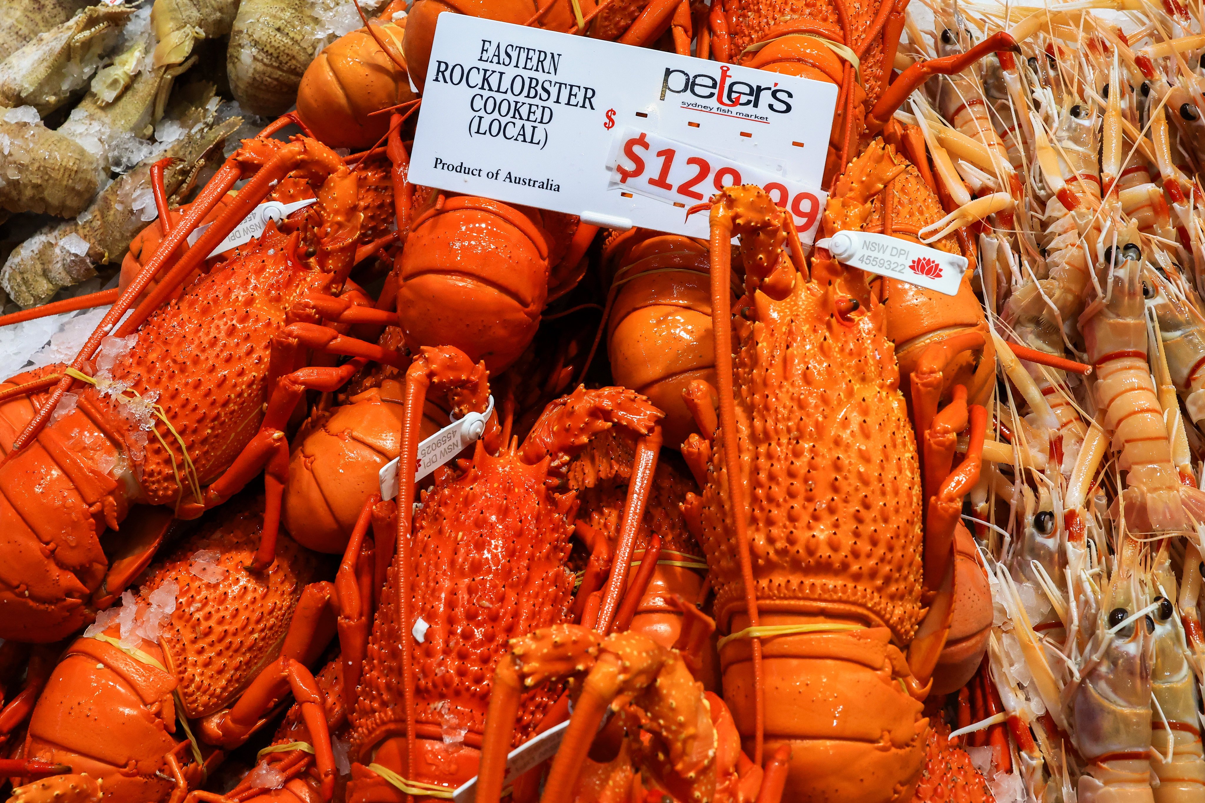 Cooked Eastern Rock Lobster displayed at Sydney Fish Markets. Photo: Getty Images